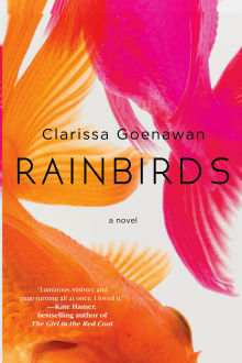 Book cover of Rainbirds