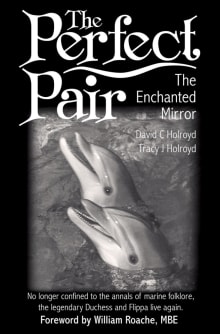 Book cover of The Enchanted Mirror