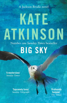 Book cover of Big Sky