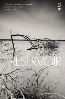 Book cover of Reservoir