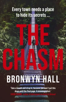 Book cover of The Chasm