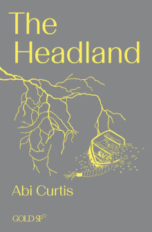 Book cover of The Headland