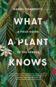 Book cover of What a Plant Knows: A Field Guide to the Senses