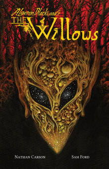 Book cover of The Willows