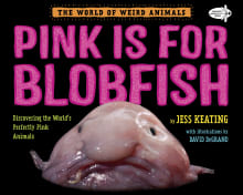 Book cover of Pink Is for Blobfish: Discovering the World's Perfectly Pink Animals