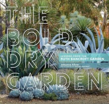 Book cover of The Bold Dry Garden: Lessons from the Ruth Bancroft Garden