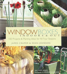 Book cover of Window Boxes: Indoors & Out