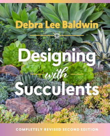 Book cover of Designing with Succulents
