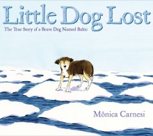 Book cover of Little Dog Lost: The True Story of a Brave Dog Named Baltic