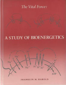Book cover of The Vital Force: A Study of Bioenergetics