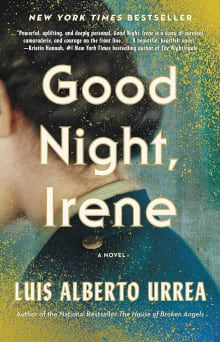 Book cover of Good Night, Irene