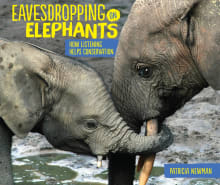 Book cover of Eavesdropping on Elephants: How Listening Helps Conservation