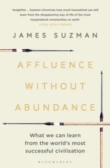 Book cover of Affluence Without Abundance: What We Can Learn from the World's Most Successful Civilisation