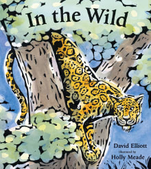 Book cover of In the Wild