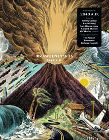 Book cover of McSweeney's Issue 58: 2040 Ad