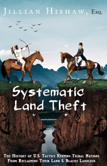 Book cover of Systematic Land Theft