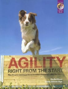 Book cover of Agility Right from the Start