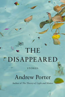 Book cover of The Disappeared: Stories