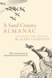 Book cover of A Sand County Almanac: And Sketches Here and There