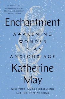 Book cover of Enchantment: Awakening Wonder in an Anxious Age