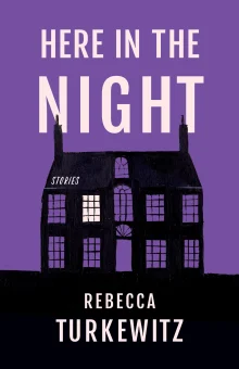 Book cover of Here in the Night