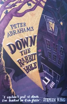 Book cover of Down the Rabbit Hole