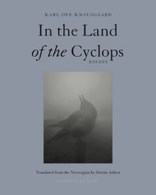 Book cover of In the Land of the Cyclops