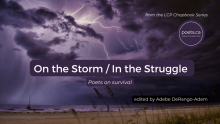 Book cover of On the Storm/In the Struggle: Poets on Survival