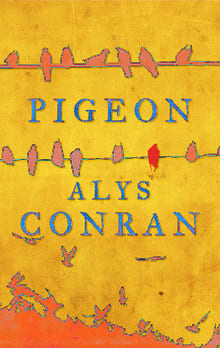 Book cover of Pigeon