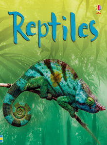 Book cover of Reptiles