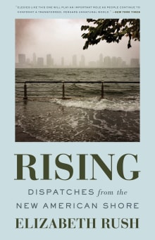 Book cover of Rising: Dispatches from the New American Shore