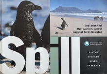 Book cover of Spill: Saving Africa's Oiled Penguins