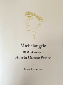 Book cover of Michelangelo in a Teacup