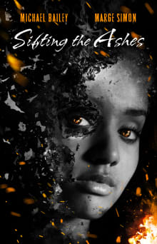 Book cover of Sifting the Ashes