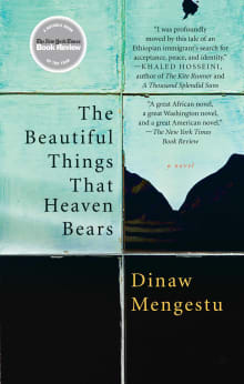 Book cover of The Beautiful Things That Heaven Bears