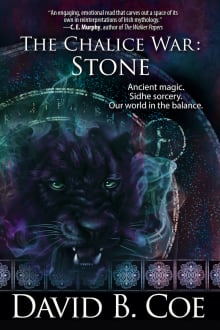 Book cover of The Chalice War: Stone