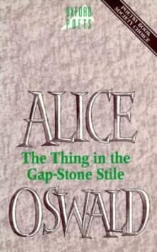 Book cover of The Thing in the Gap-Stone Stile