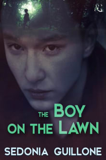 Book cover of The Boy on the Lawn: Young Adult Suspense