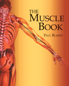 Book cover of The Muscle Book
