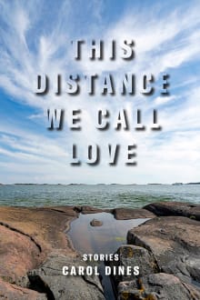 Book cover of This Distance We Call Love