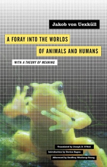 Book cover of A Foray into the Worlds of Animals and Humans: with A Theory of Meaning