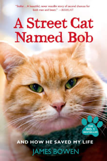 Book cover of A Street Cat Named Bob