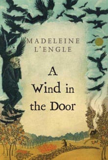 Book cover of A Wind in the Door