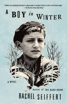Book cover of A Boy in Winter