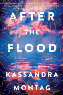 Book cover of After the Flood