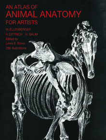 Book cover of An Atlas of Animal Anatomy for Artists