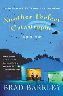 Book cover of Another Perfect Catastrophe and Other Stories