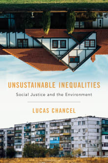 Book cover of Unsustainable Inequalities: Social Justice and the Environment