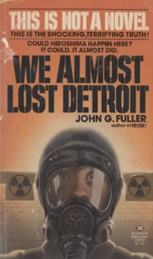 Book cover of We Almost Lost Detroit