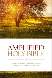 Book cover of Amplified Holy Bible